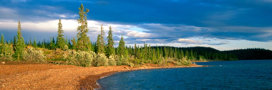 La rive d'un lac dans la forêt boréale.