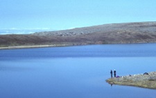 Fishing for arctic char