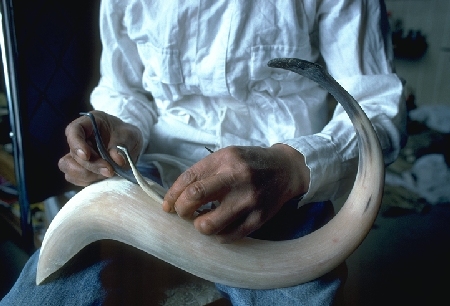 Sculpture sur corne de beuf musqué