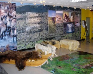Parks Canada office in Paulatuk