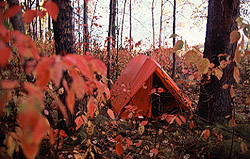 Tente dans la forêt