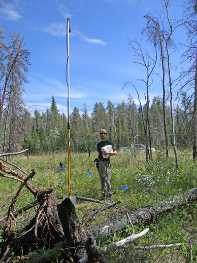 Acoustic bat survey