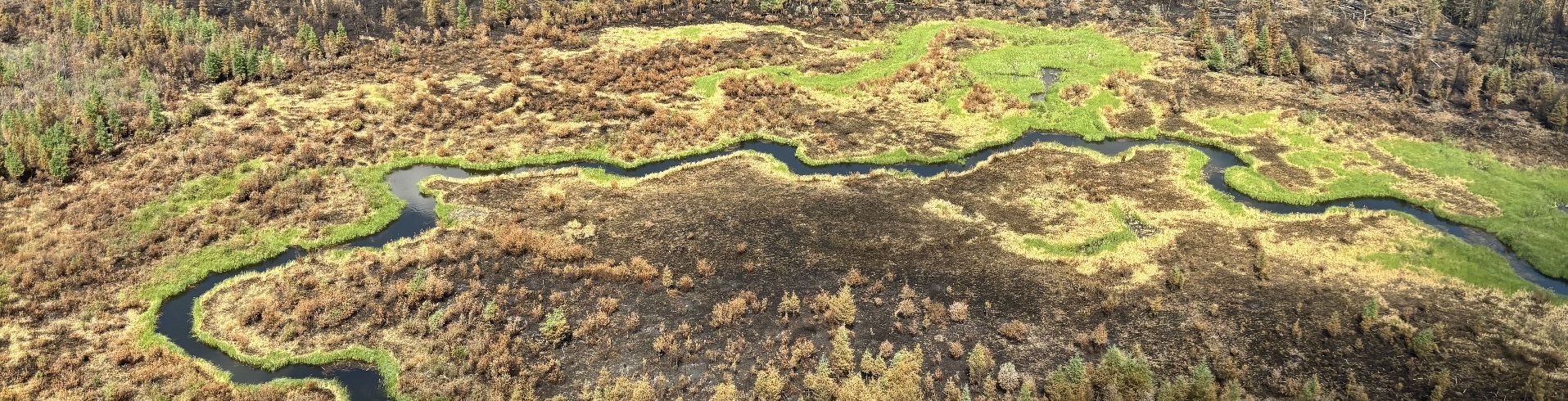 un paysage après le brûlage montrant les zones où les effets du feu sont différents. Les zones humides près d’une rivière sont vertes, tandis que les forêts plus denses sont noires et brûlées