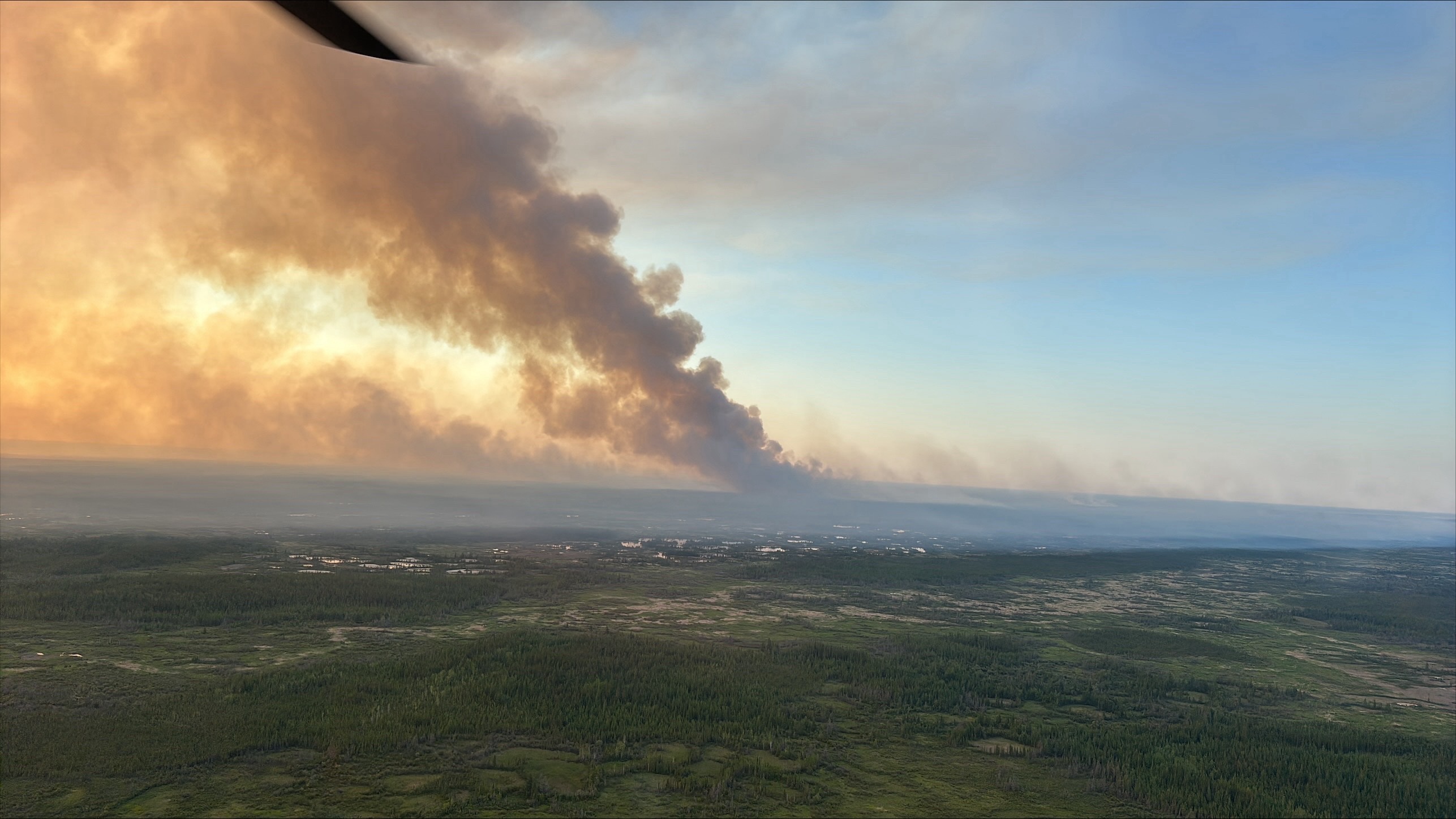 Une vue aérienne montre un grand panache de fumée de feu de forêt s’étendant à l’horizon au-dessus d’un vaste paysage forestier.