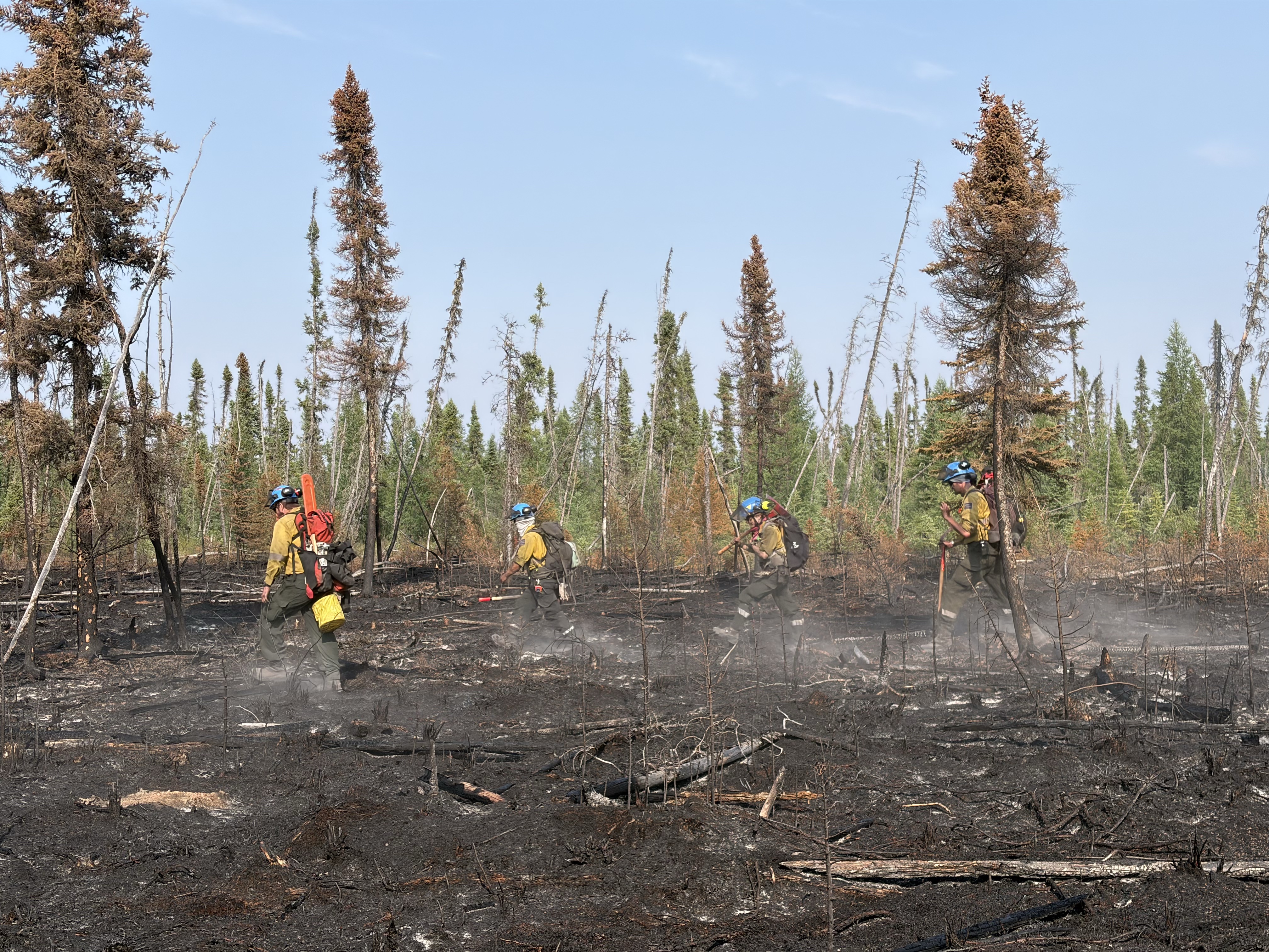 Un groupe de pompiers de forêt portant un casque de protection en Nomex jaune et bleu marche en ligne sur une zone brûlée noircie, portant des outils alors qu’ils mènent des opérations d’extinction parmi les arbres endommagés par le feu éparpillés sous un ciel bleu clair.