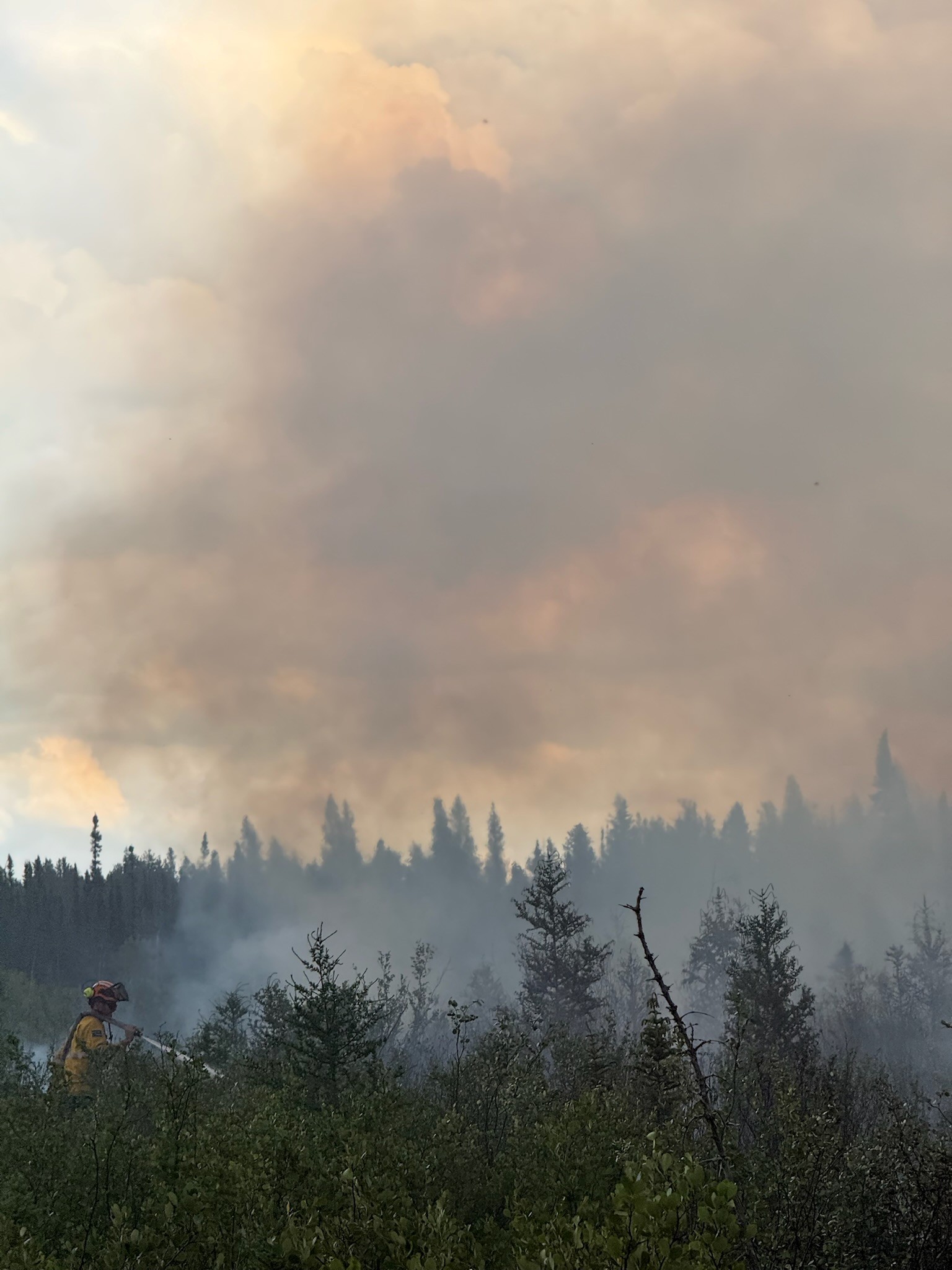Un pompier forestier est partiellement visible à la lisière d’une forêt enfumée. Une épaisse fumée grise s’élève au-dessus des arbres et des arbustes, obscurcissant une grande partie du paysage.