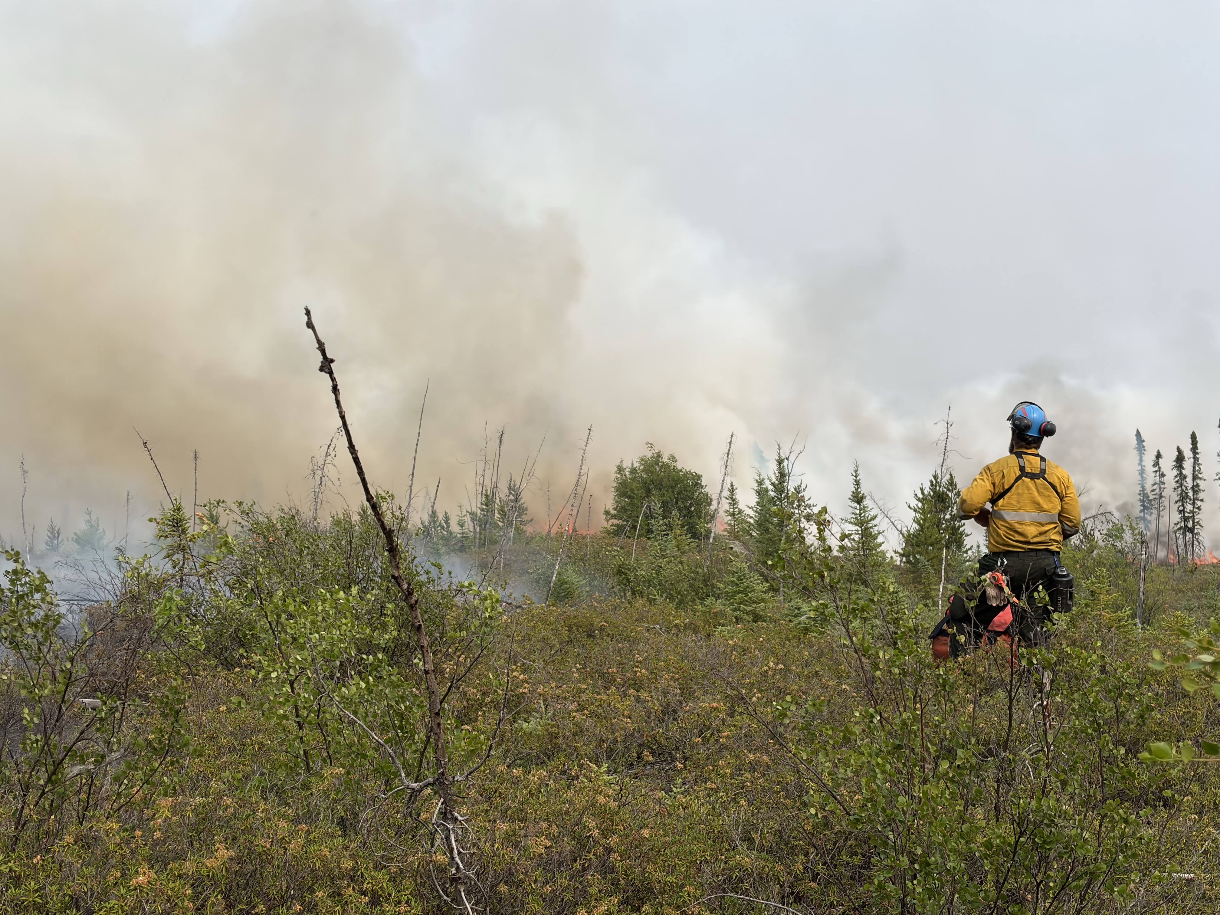 Un pompier forestier portant un Nomex jaune et un casque bleu observe l’activité du feu. Une épaisse fumée blanche s’élève d’un feu actif en arrière-plan.
