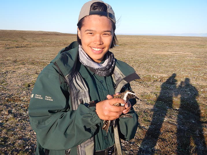 A Parks Canada staff holds an American golden plover in her hands. 