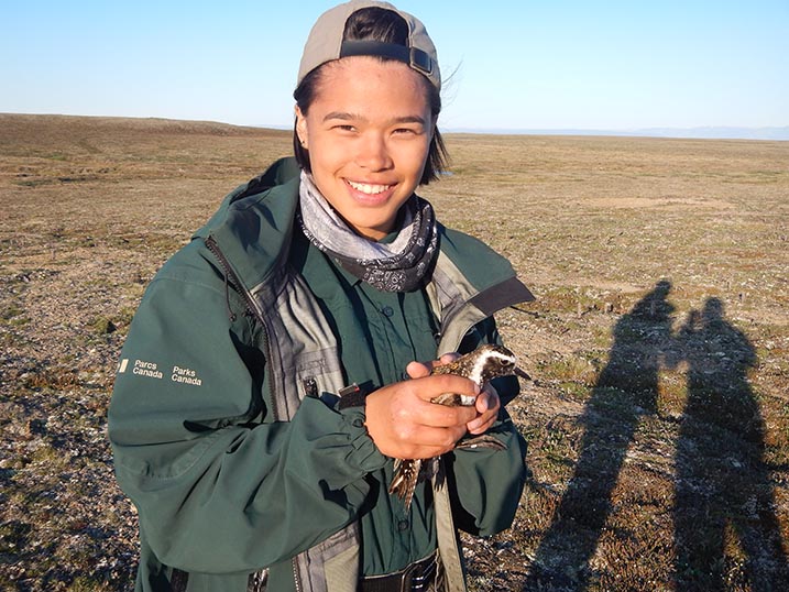 A Parks Canada staff holds an American golden plover in her hands.