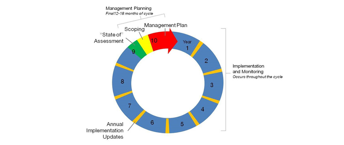 A graphic depicting the management planning cycle