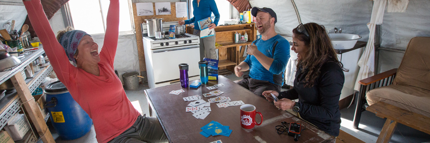 Four people playing cards in a Parks Canada shelter.