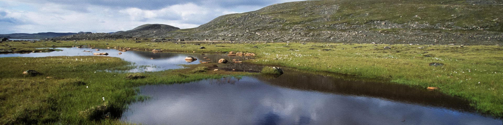 A scenic view of small ponds, rocky terrain, and green vegetation in Ukkusiksalik National Park.