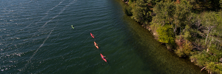 Un groupe de kayaks le long de la rive d'une île.