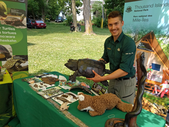 Park staff at an outreach education event, with turtle models