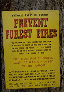 Historic poster about forest fire prevention