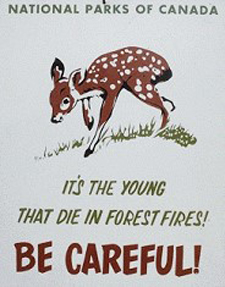 Historic poster featuring a baby deer and stating it is the young who die in fires