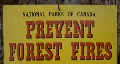 An old Parks Canada sign that says Prevent Forest Fires
