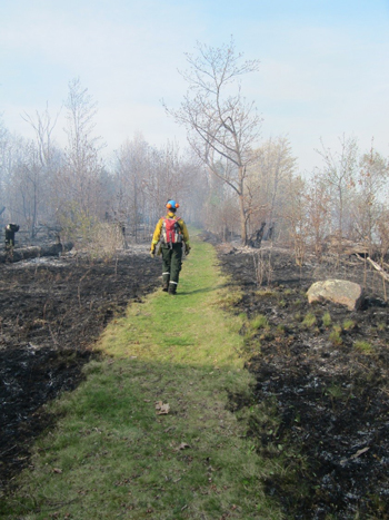 Park staff walk along a burn line