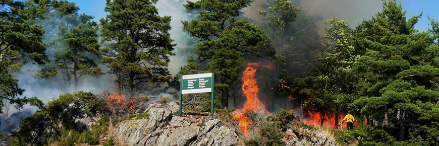 A prescribed fire burns brush on the shoreline.