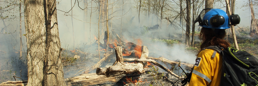 Le personnel du parc observe un feu prescrit.