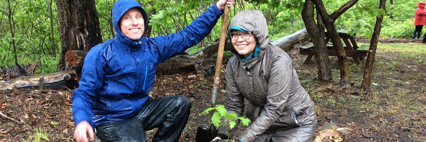 Deux visiteurs plantent des arbres.