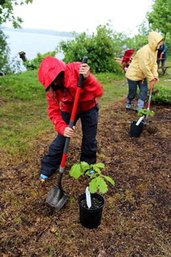 A visitor plants a tree