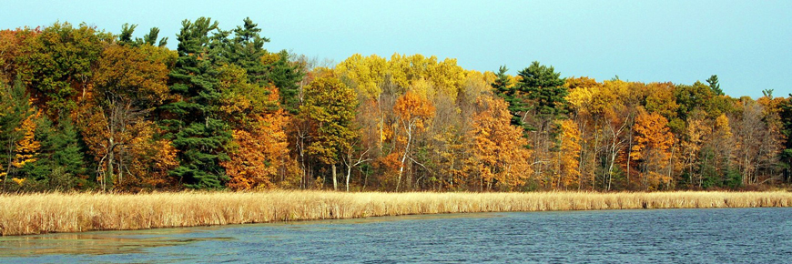 Trees changing colour along the shoreline. 