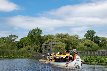 Freighter canoe tour in Point Pelee marsh