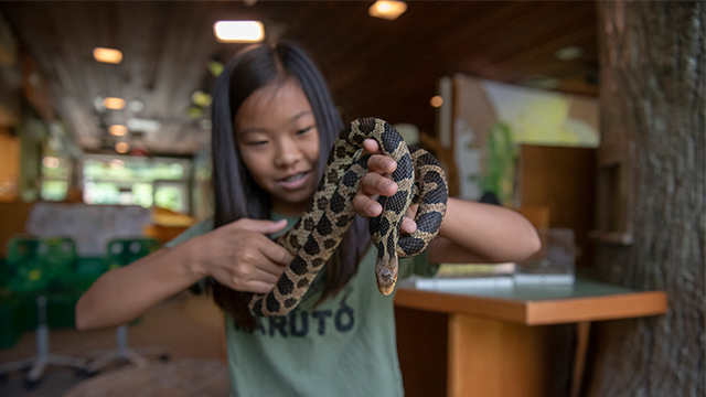 Jeune visiteur tenant un serpent