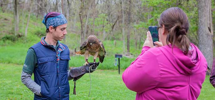 Visitor takes a photo of Wild Ontario staff with bird of prey. 