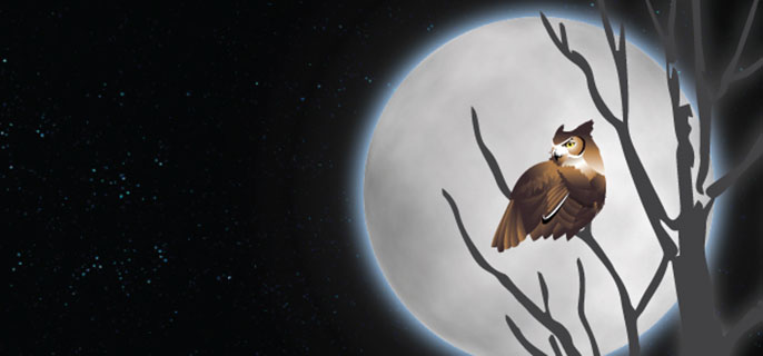 Animated owl perched in tree set against the dark night sky.