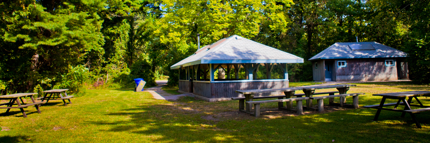 White Pine Picnic Area