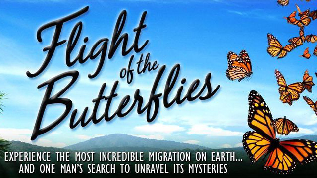Flight of the Butterflies film poster