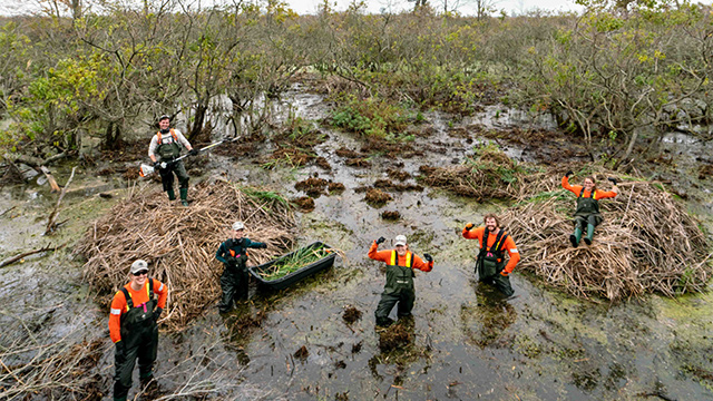 Resource conservation staff pose in the marsh doing field work