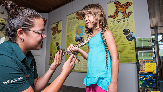 Un membre du personnel de Parcs Canada tient un serpent autour du cou d'un visiteur pour lui parler de la faune indigène.