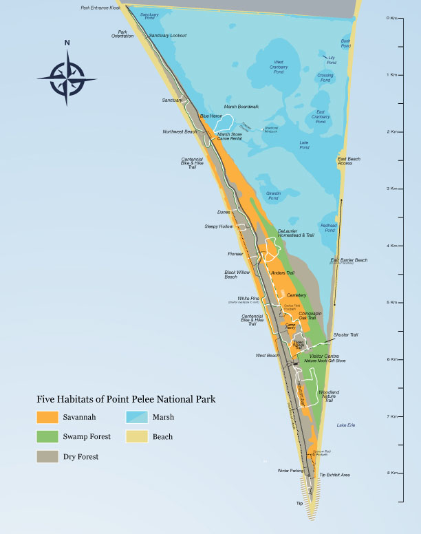 Map showing the five habitats in Point Pelee National Park: savannah, swamp forest, dry forest, marsh, and beach.