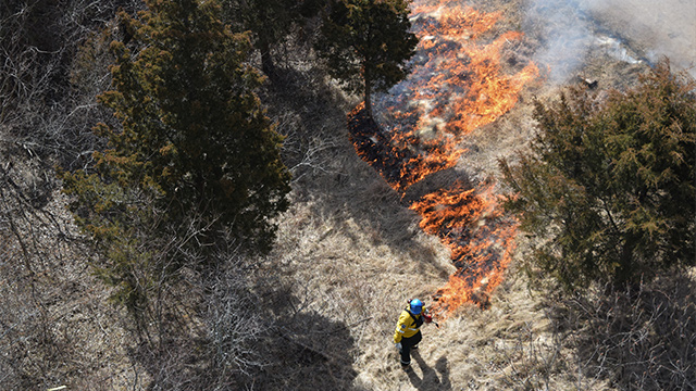 Aerial view of prescribed fire