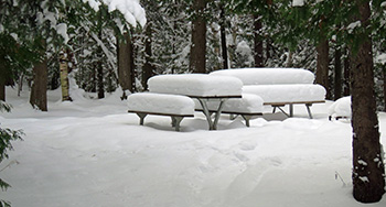 snow covered picnic table