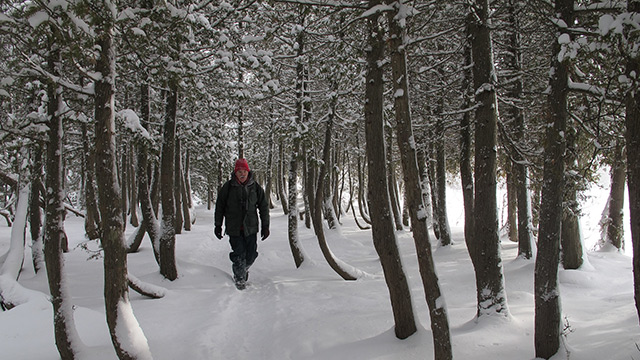 bruce peninsula tourism