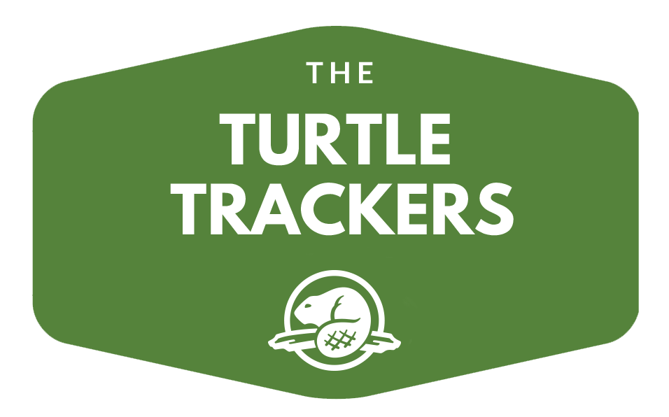 The Turtle Trackers