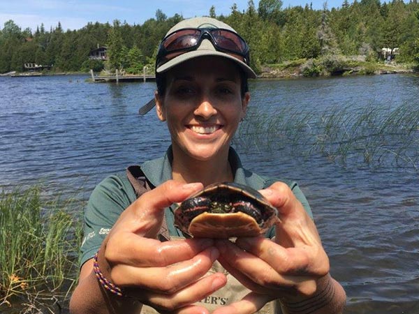 A Parks Canada staff member holding a painted turtle with two hands