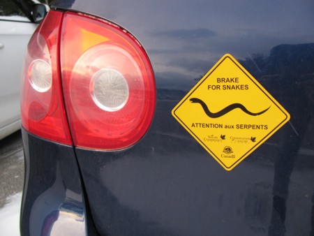 Break for snake magnet on the back of a car