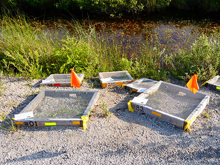 Des boîtes de protection pour nids de tortues au bord d'une route.