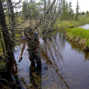 Park staff take water samples in summer