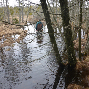 Le personnel du parc prélève des échantillons d'eau en hiver