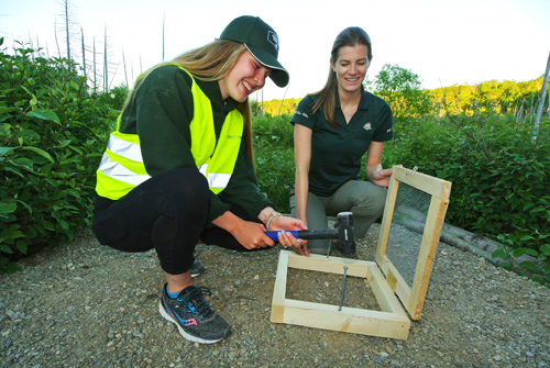 Volunteers installing a turtle box