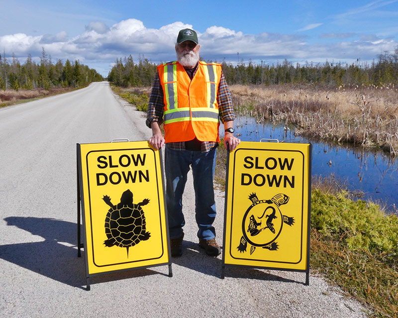 A volunteer standing on a road in a reflective vest holding two signs showing symbols for turtle crossing