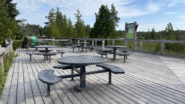 Plusieurs tables de pique-rondes sur le bureau d’observation en bois entourées d’arbres et d’une balustrade surplombant le paysage.