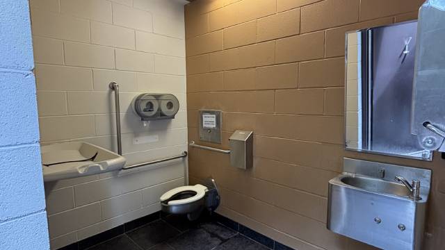 Une salle de toilette accessible équipée d’une toilette accessible, de barres d’appui, d’un lavabo mural et d’une table à langer rabattable.