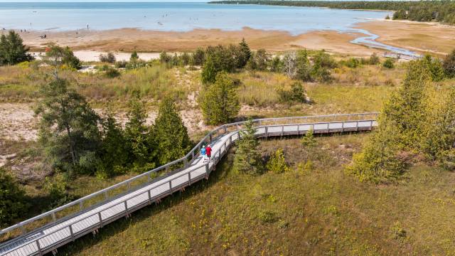 People walk along boardwalk through a coastal wetland landscape near the water.